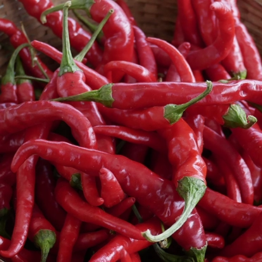 piment bio en vente sur les marchés locaux