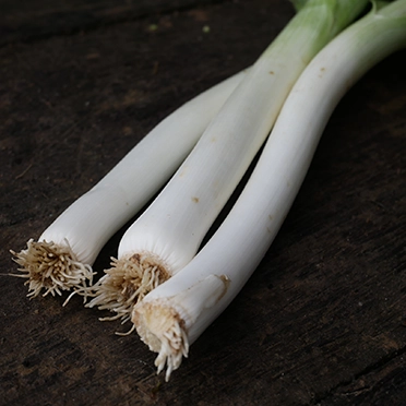 poireaux bio