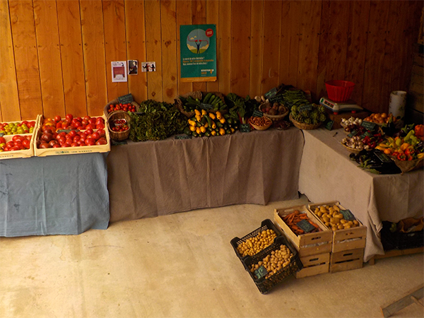 vente directe de légumes bio à la ferme des hameaux