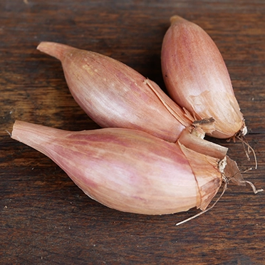 échalotes cultivées en agriculture bio