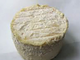 fromage de chèvre bio affiné