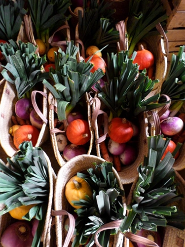 paniers hebdomadaires de légumes bio et locaux sur abonnement